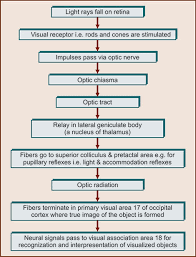 Visual pathway abnormalities have been described in a prospective study of 10 patients undergoing sevoflurane anesthesia 63. Jaypeedigital Ebook Reader