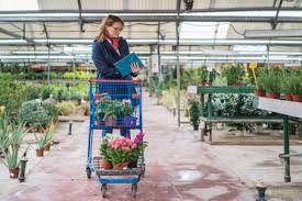 Maybe you would like to learn more about one of these? Shopping Cart With Plants And Flowers In Plant Nursery Stockphoto