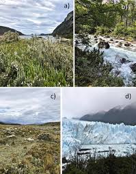 Sinopsis drama my sweet lavender (azalea tv9) sinopsis drama filipina forevermore (astro bella &. Patagonia Springerlink