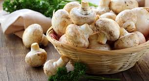 Cocinar unas setas es una idea genial para variar un poco en las tradicionales guarniciones de platos, más vistosas, con menos grasas y se cocinan de forma mucho más rápida. Cinco Formas De Cocinar Setas Hosteleriasalamanca Es