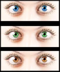 What Are Dominant And Recessive