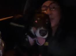 Update: 8/7/24 We are so grateful for all of those sharing, searching, and  praying for Cooper and her family. She has been moving around the last 2  days. Help increase awareness and