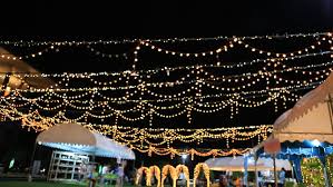 Plastic clips for attaching lights plastic clips to hold the lights on the roof. Flashing Light On Roof Party Stock Footage Video 100 Royalty Free 7229536 Shutterstock