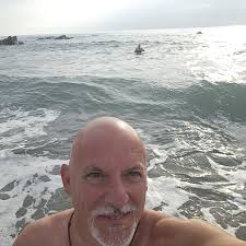 Has anyone been using Bio Diesel or Renewable Diesel in the vans I have  accidentally filled up with it says it compatible with traditional diesel  and standards , hopefully it won't damage