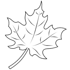 Drawing A Leaf Fall Leaves Drawing Leaf Drawing Maple Leaf Drawing
