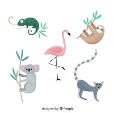 Conjunto De Animais Tropicais Camaleao Coala Flamingo Preguica Lemur Design De Estilo Plano Tropical Animals Vector Free Lemur