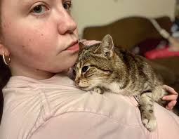 Is anyone else highly anxious since their fur baby passed? I have extremely  bad anxiety and can't really do anything except stare into space and think  about my baby. It's been about