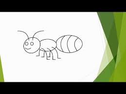 Zeichnen Mit Kindern Ameise Youtube