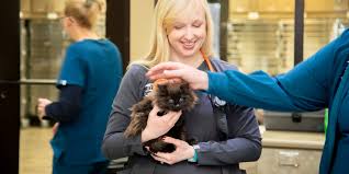 We're proud to carry on dr. Flat Rock Animal Hospital Veterinarian In Flat Rock Nc