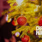 Beeston AC Christmas Party  event image