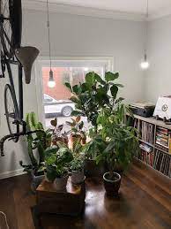 My Very Novice Attempt At A Grow Light Set Up Indoorgarden Grow Lights For Plants Grow Lights Indoor Grow Lights