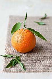 Pin By Ekaterina Chistyakova On Natale In 2020 Fruit Photography Fruits Photos Art Reference Photos