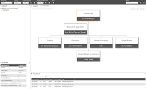 Custom Org Chart Design And Expamples Org Manager