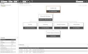 custom org chart design and expamples org manager