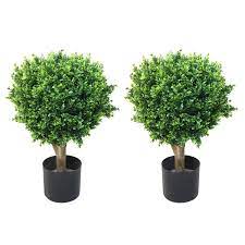 Preserved boxwood is among the most common. Romano 2 Foot Indoor Outdoor Hedyotis Topiary Trees Set Of 2 Solid Copper On Sale Overstock 8775440
