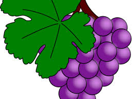 Buah panen alam anggur apple sehat apel pertanian makanan segar. Daun Anggur Vector Grapes Clip Art Png Download Large Size Png Image Pikpng