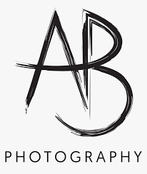 نتیجه جستجوی لغت [AB] در گوگل