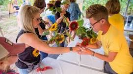 Coshocton Sunflower Festival: Sunflowers & Fairs