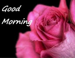 Red rose good morning flowers for my wife. Good Morning Green Flowers