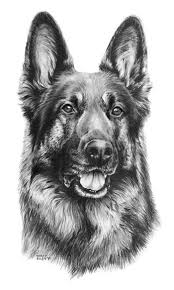 Black And White German Shepherd Painting Pin By Snazzy Pup On Labrador Tattoo Ideas German Shepherd Painting German Shepherd Art Dog Art