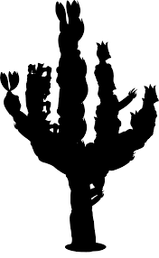 Click to see our best video content. Svg Sombrero Desert Cactus Mexico Free Svg Image Icon Svg Silh