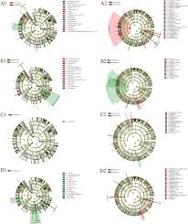 Microbial Biomarkers Of Common Tongue Coatings In Patients