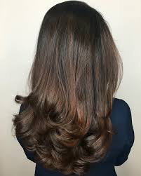 When we look at the aveda hair color later, we will focus on the long words that look like chemicals. Aveda Chocolate Brown Hair Color Formula Novocom Top