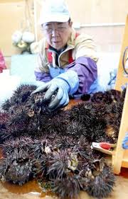 News source: Yahoo!ニュース