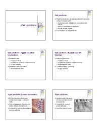 Protein complexes forming at specific sites of cell membranes. Cell Junctions Pdf Epithelium Cell Adhesion