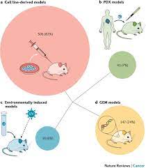 Maybe you would like to learn more about one of these? Preclinical Mouse Solid Tumour Models Status Quo Challenges And Perspectives Nature Reviews Cancer