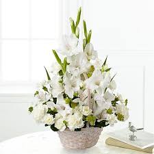 The flowers are traditionally used in floral arrangements, this flower is also lovely when dried. Ftd Christmas 2021 Christmas Specials Delivered Ftd
