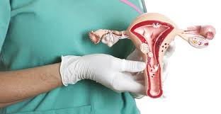 почему у одних есть прыщи а у других нет Giperplaziya Endometriya Simptomy I Lechenie