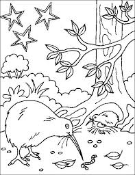 Aotearoa Nz Map Colouring Page Google Search Bird Coloring Pages Flag Coloring Pages Coloring Pages