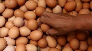Untuk menggunakan telur sebagai menu diet sehat, anda bisa memasak telur dengan sederhana seperti yang sudah biasa anda temui. Ada Bahaya Tersembunyi Di Balik Diet Telur Halaman All Bangka Pos