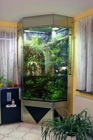 Paludariums Net Information On Paludarium Flora Fauna Equipment Maintenance And More Aquarium Amazing Aquariums Reptile Terrarium