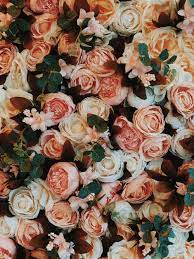 Maybe you would like to learn more about one of these? 10 000 Best Roses Photos 100 Free Download Pexels Stock Photos