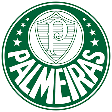 Resultado de imagem para imagens do palmeiras 2018