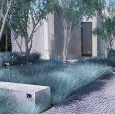 Gartenweg Moderne Ziergraser 61 Ideen Tuin Architectuur Groenvoorziening Voortuin Tuin Ideeen