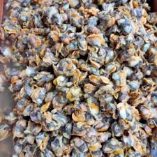 Bandung meat & great bandung (3) tambah ke wishlist. Kerang Kupas Basah 250 Gr Shopee Indonesia