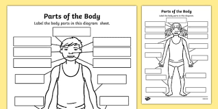 Exercises to practice/reinforce the use of the verb to have in the affirmative, negative and interrogative with the parts of the body and. Parts Of The Body Worksheets Pre K K 1 Labelling Activity