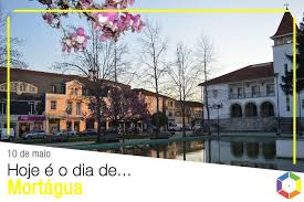 It does not necessarily correspond to a municipality.there are 533 towns in portugal. Mortagua Home Facebook