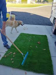 4.0 out of 5 stars 21. Artificial Grass Camping Mat Little Vintage Cottage