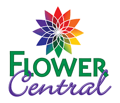 10, 2020, in his home in colorado springs, colorado, with his wife, shireen, holding his hand. Flower Central Floral Florists Minot Nd Flowers Minot 58701