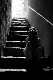 Black Beauty Free Photo Gallery White Photography Black And White Photographs Black And White Photography