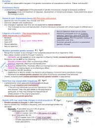 Dna profiling gizmo answer key activity b ≥ comags answer. Chapter 15 Evolution Notes Studocu