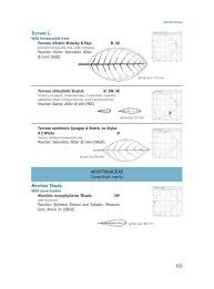 Image result for Montiniaceae