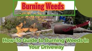 Instead, you're disrupting the plants' ability to function by the application of targeted high temperatures. Burning Weeds How To Guide To Burning The Weeds In Your Driveway Youtube