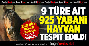 Denizli De 9 Ture Ait 925 Yabani Hayvan Tespit Edildi