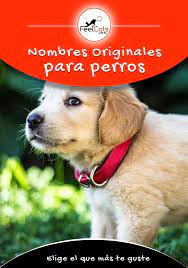Pin En Nombres Para Perros