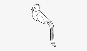 More dragon ball z coloring pages. Quetzal Coloring Page Dibujo De Un Quetzal Free Transparent Png Download Pngkey